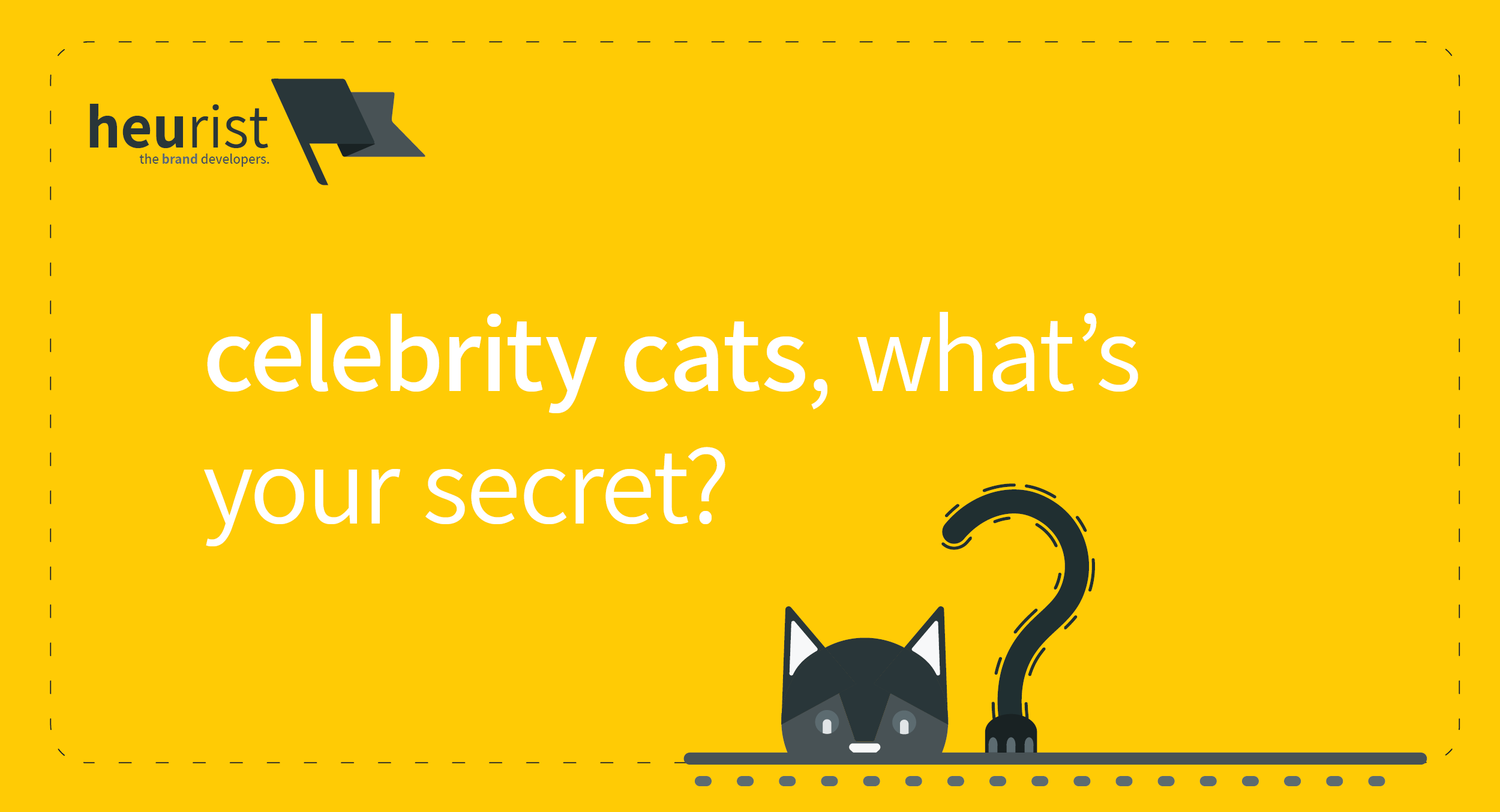 Why cats become famous | Heurist - the brand developers | marketing, branding & UX strategy consultants | Brisbane